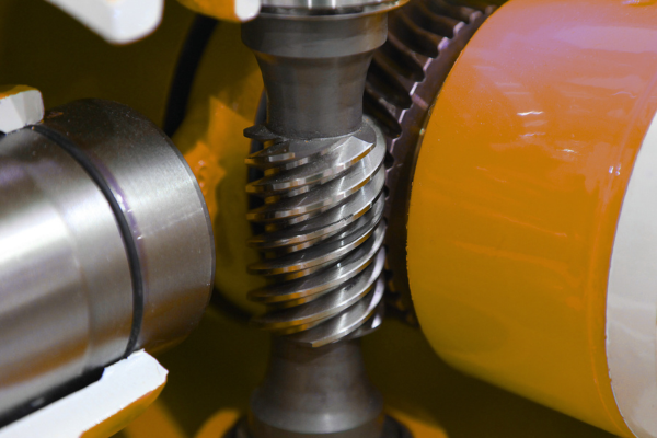 Close up of worm gear
